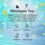 Kapsa Laundry Pods - 30 Capsules | 10-in-1 Detergent Fragrance Softener | 10X Cleaning Power | Stain & Odour Removal | Low Suds For Sensitive Skin | Top Load & Front Load Washer | Eco-Friendly - Image 6