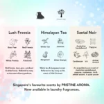 Kapsa Laundry Pods - 30 Capsules | 10-in-1 Detergent Fragrance Softener | 10X Cleaning Power | Stain & Odour Removal | Low Suds For Sensitive Skin | Top Load & Front Load Washer | Eco-Friendly - Image 4